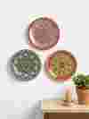 personalised wall plate