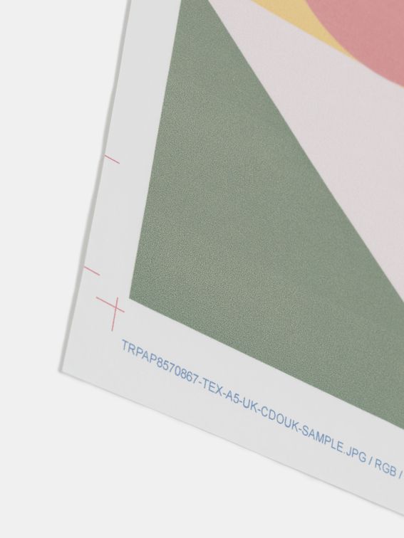 Transfer Paper